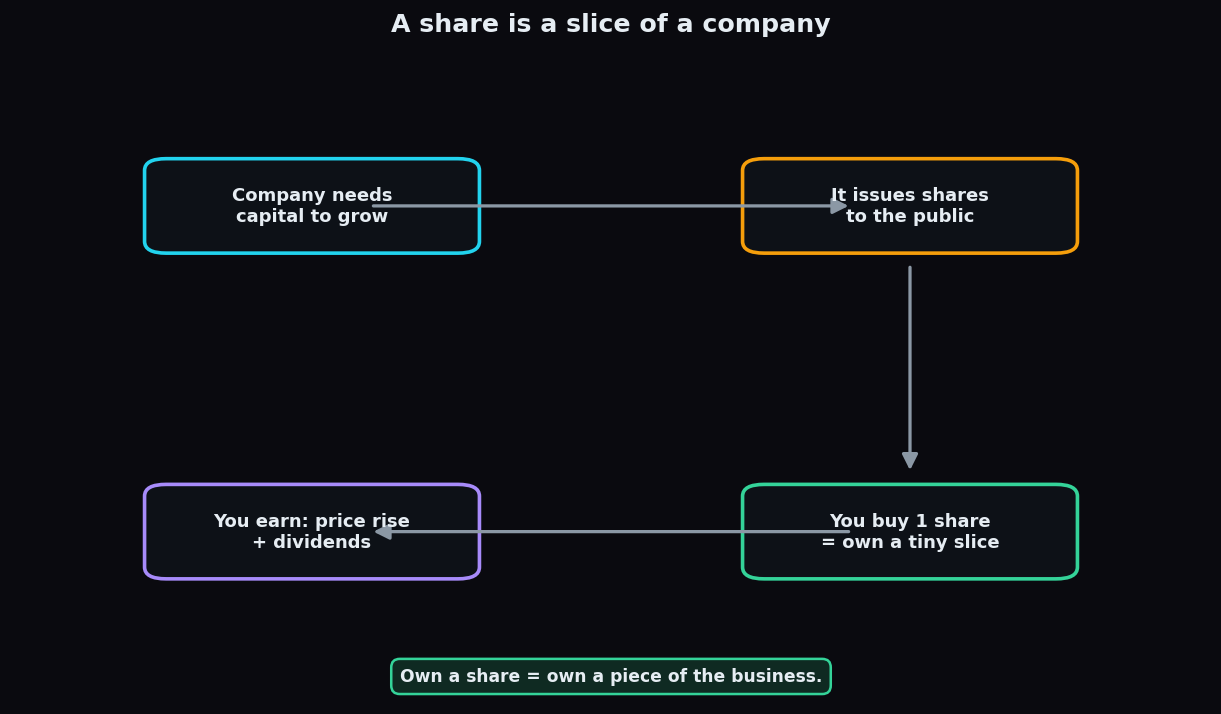 Flow diagram of how a company issues shares and how an investor owns a slice and earns from price rises and dividends