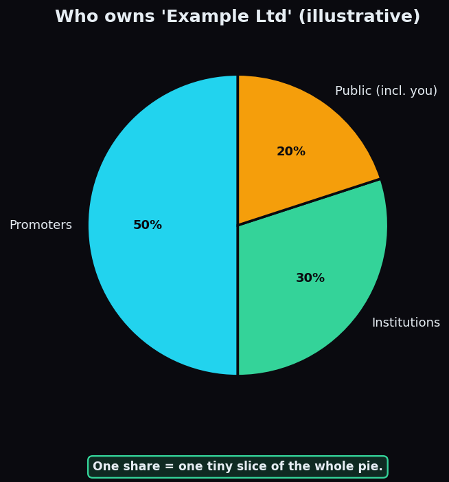 Pie chart of an illustrative company's ownership split between promoters, institutions, and the public